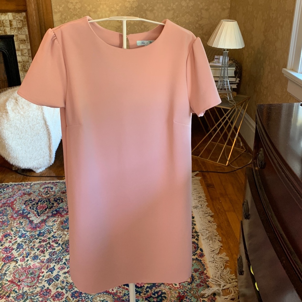 She+sky‎ pink/mauve dress. Worn once. Retail 85